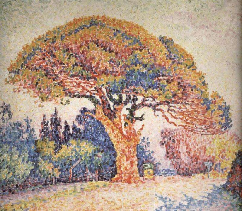 Paul Signac Pine oil painting picture